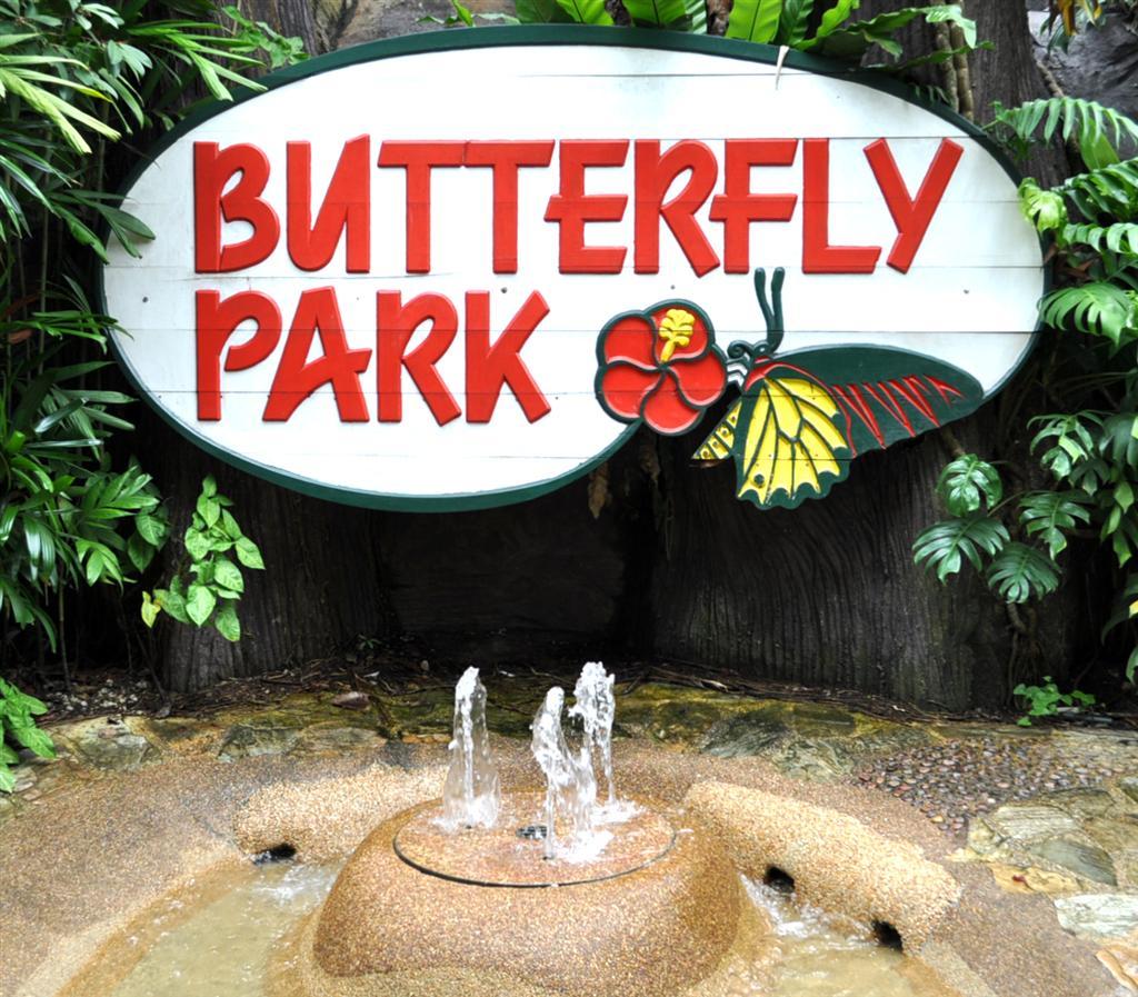ButterflyPark